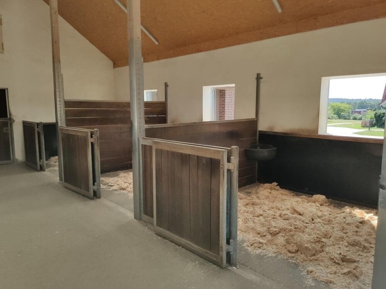 Landhuis met paardenhouderij – stijlvolle woonstijl, hoogwaardige stallenfaciliteiten