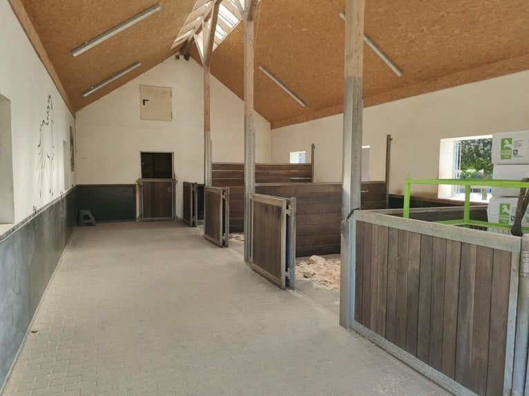Landhuis met paardenhouderij – stijlvolle woonstijl, hoogwaardige stallenfaciliteiten