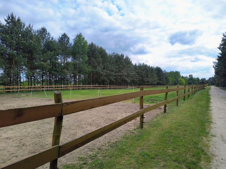 Landhuis met stal, paardenpension en boerderijwoning