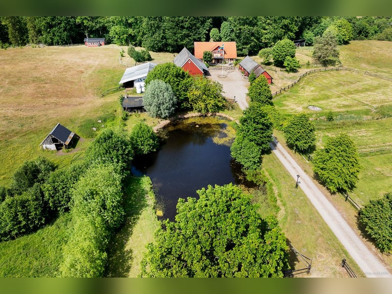 Leef de droom aan de poort naar Österlen – ruiterboerderij, hertenverblijf, rivier..