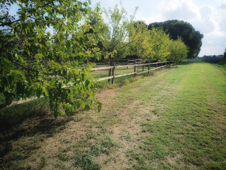 Lovely Equestrian property in Italy  