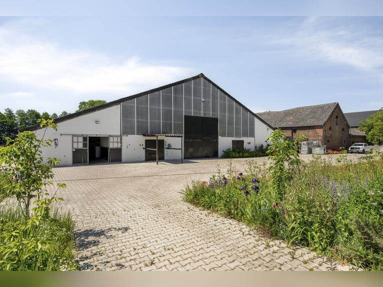 Luxe, natuur en paardenliefhebbers. Welkom op Gut Wammen!