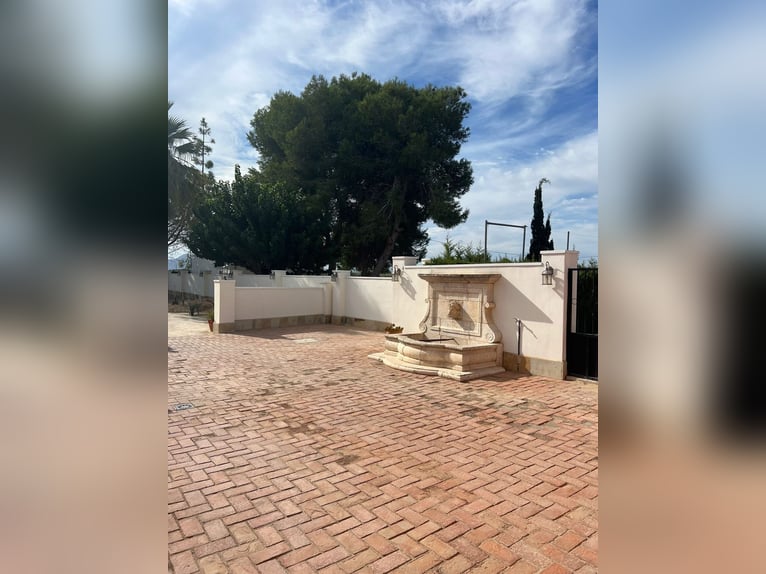 LUXUEUS LANDHUIS MET PRIVÉE STALEN - COSTA BLANCA / LUXUEUS LANDHUIS MET PRIVÉE STALEN