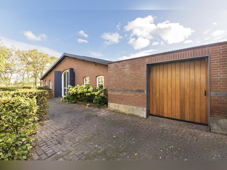 Luxury detached home with office outbuilding, wellness pool, gym & stables for 4 horses