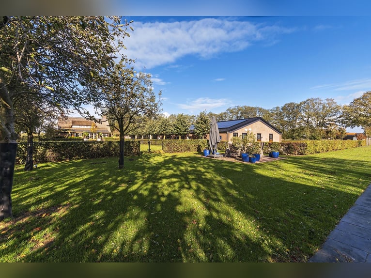 Luxury detached home with office outbuilding, wellness pool, gym & stables for 4 horses