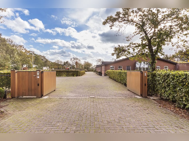 Luxury detached home with office outbuilding, wellness pool, gym & stables for 4 horses