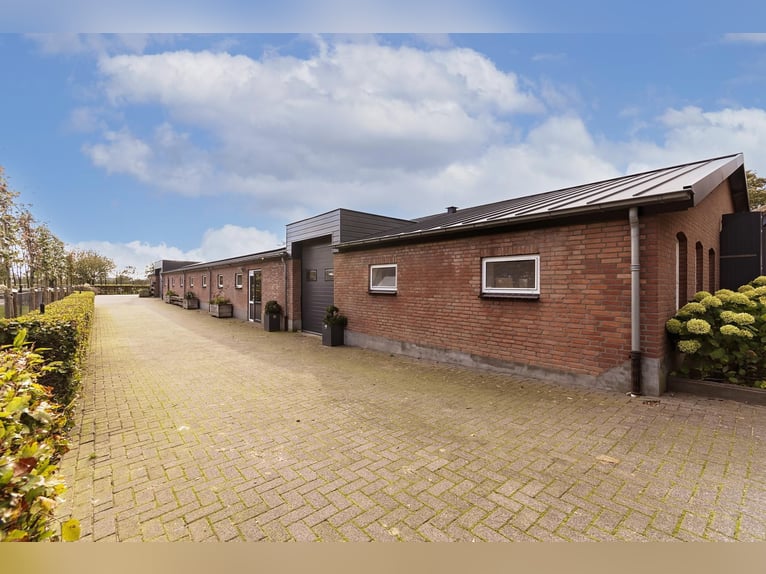 Luxury detached home with office outbuilding, wellness pool, gym & stables for 4 horses
