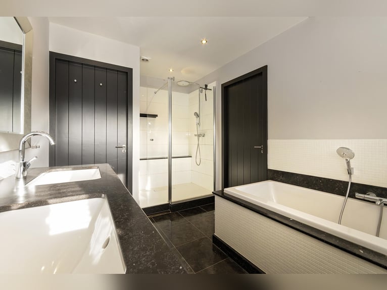 Luxury detached home with office outbuilding, wellness pool, gym & stables for 4 horses
