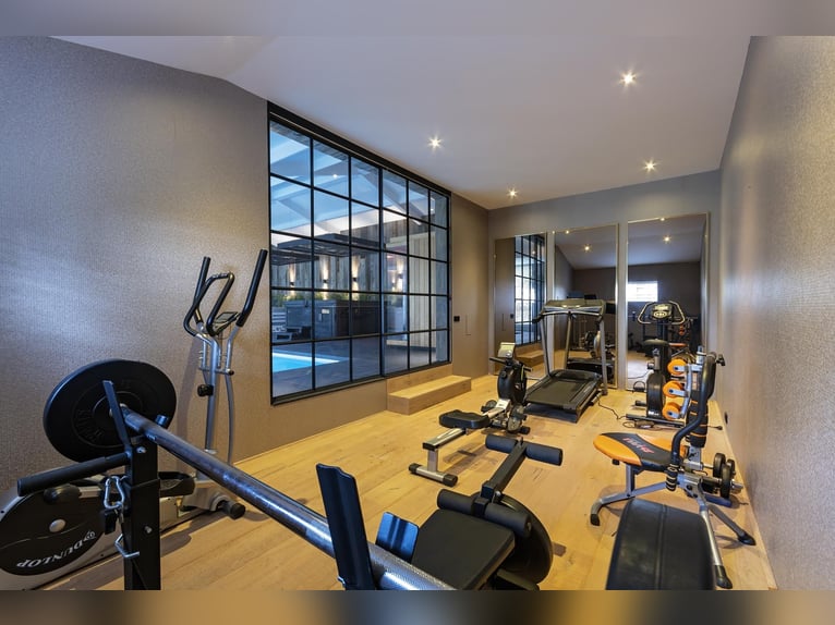 Luxury detached home with office outbuilding, wellness pool, gym & stables for 4 horses