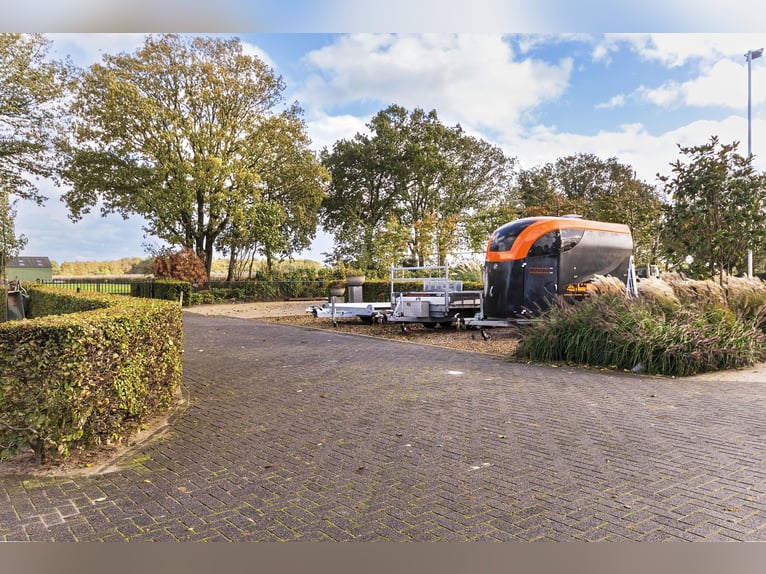 Luxury detached home with office outbuilding, wellness pool, gym & stables for 4 horses