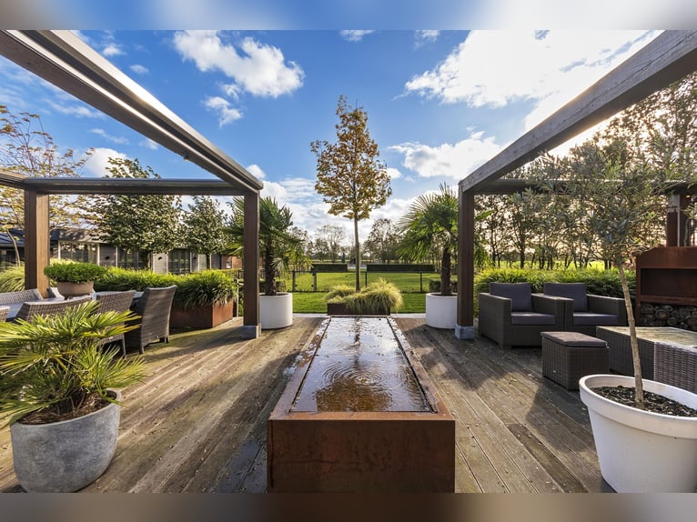 Luxury detached home with office outbuilding, wellness pool, gym & stables for 4 horses