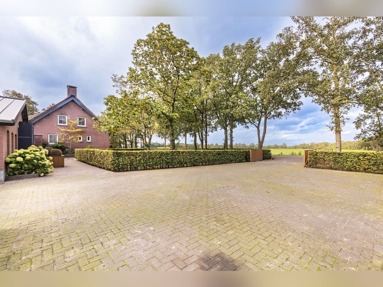 Luxury detached home with office outbuilding, wellness pool, gym & stables for 4 horses