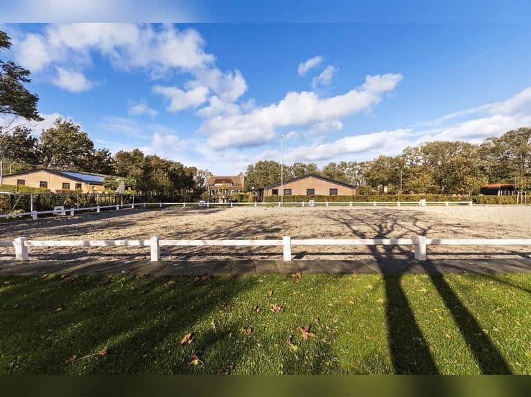 Luxury detached home with office outbuilding, wellness pool, gym & stables for 4 horses