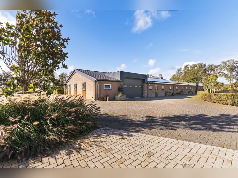Luxury detached home with office outbuilding, wellness pool, gym & stables for 4 horses