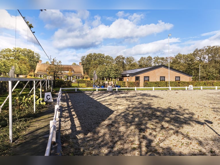 Luxury detached home with office outbuilding, wellness pool, gym & stables for 4 horses