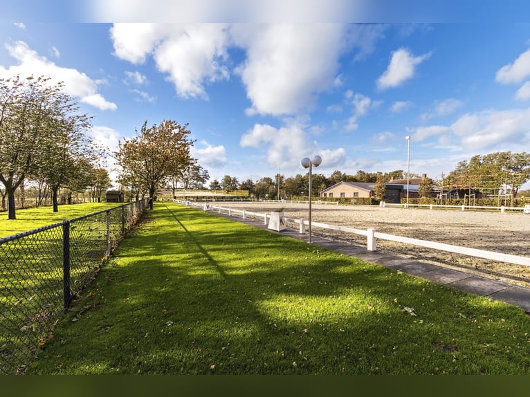 Luxury detached home with office outbuilding, wellness pool, gym & stables for 4 horses
