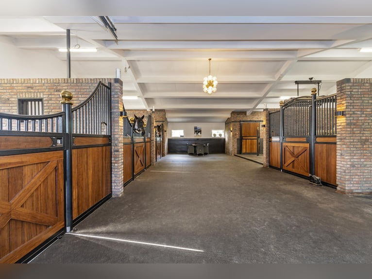 Luxury detached home with office outbuilding, wellness pool, gym & stables for 4 horses