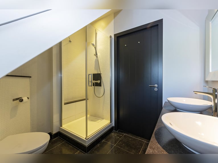 Luxury detached home with office outbuilding, wellness pool, gym & stables for 4 horses