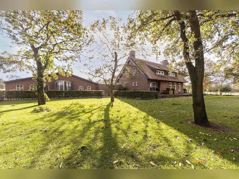 Luxury detached home with office outbuilding, wellness pool, gym & stables for 4 horses