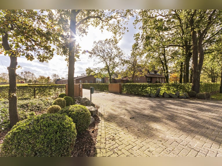 Luxury detached home with office outbuilding, wellness pool, gym & stables for 4 horses