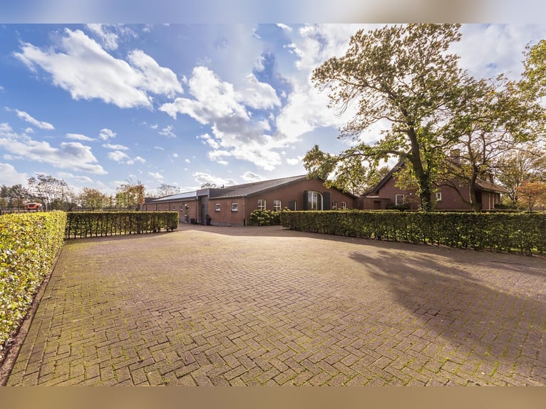 Luxury detached home with office outbuilding, wellness pool, gym & stables for 4 horses