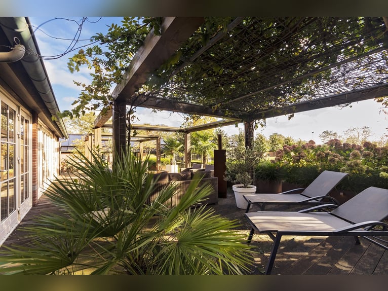 Luxury detached home with office outbuilding, wellness pool, gym & stables for 4 horses