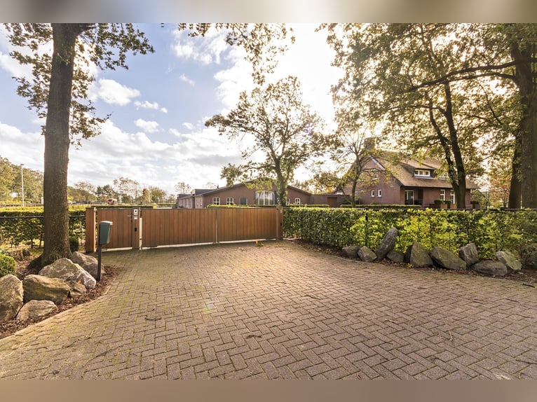 Luxury detached home with office outbuilding, wellness pool, gym & stables for 4 horses