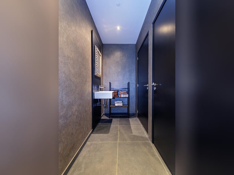 Luxury detached home with office outbuilding, wellness pool, gym & stables for 4 horses