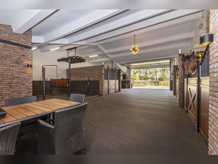 Luxury detached home with office outbuilding, wellness pool, gym & stables for 4 horses