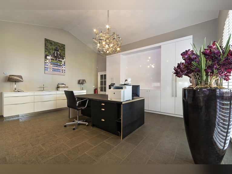 Luxury detached home with office outbuilding, wellness pool, gym & stables for 4 horses