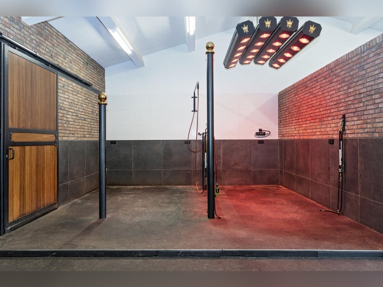 Luxury detached home with office outbuilding, wellness pool, gym & stables for 4 horses