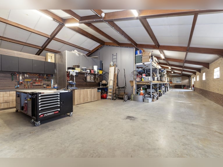 Luxury detached home with office outbuilding, wellness pool, gym & stables for 4 horses