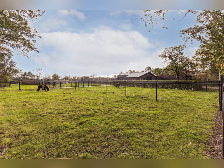 Luxury detached home with office outbuilding, wellness pool, gym & stables for 4 horses