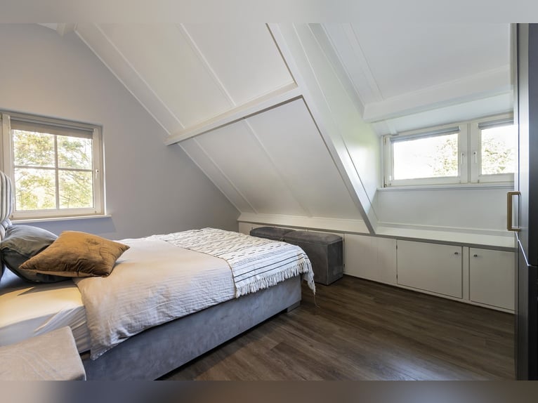 Luxury detached home with office outbuilding, wellness pool, gym & stables for 4 horses