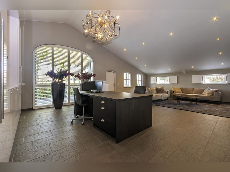 Luxury detached home with office outbuilding, wellness pool, gym & stables for 4 horses
