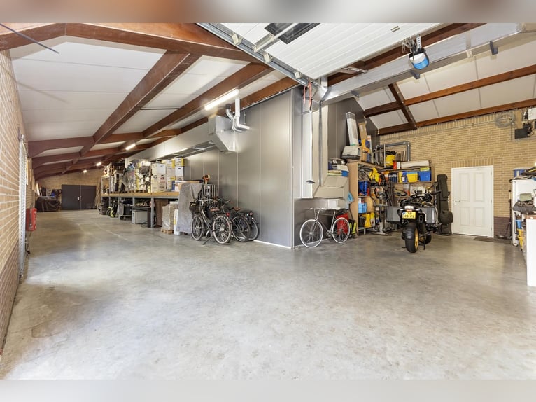 Luxury detached home with office outbuilding, wellness pool, gym & stables for 4 horses