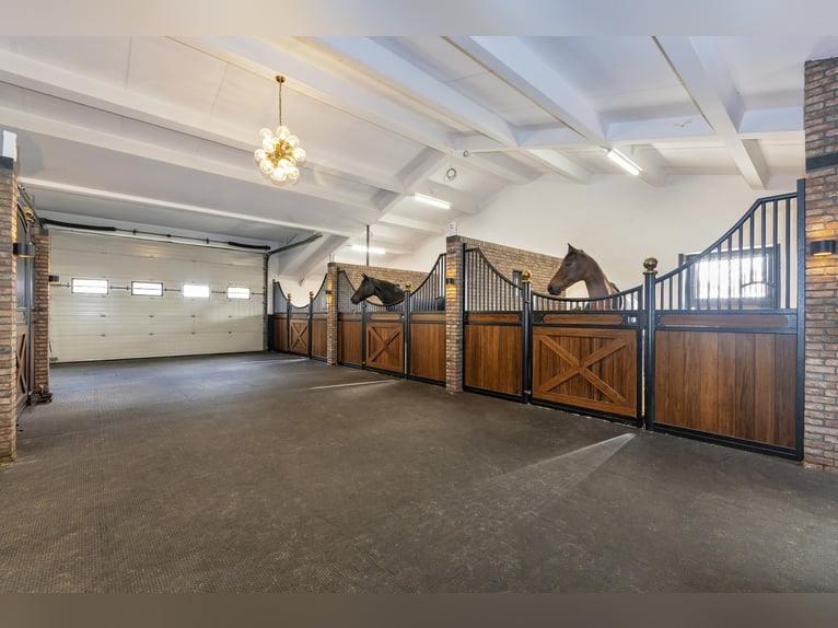 Luxury detached home with office outbuilding, wellness pool, gym & stables for 4 horses
