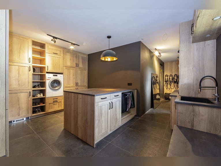 Luxury detached home with office outbuilding, wellness pool, gym & stables for 4 horses
