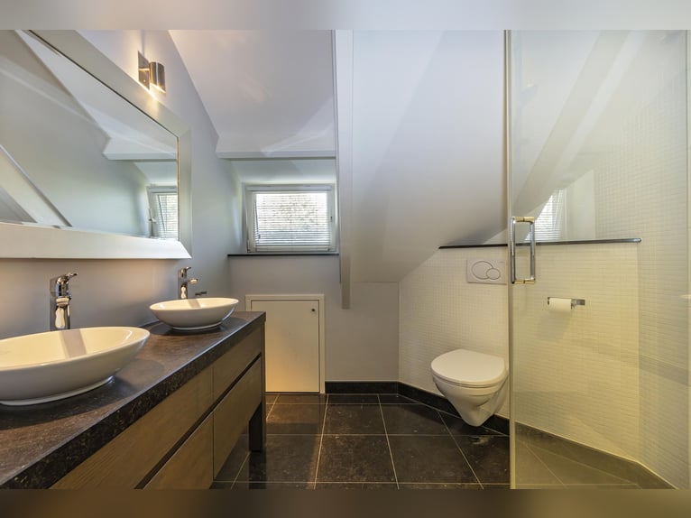 Luxury detached home with office outbuilding, wellness pool, gym & stables for 4 horses