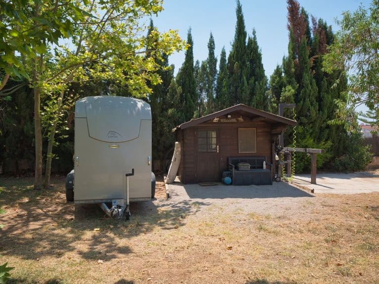 MALLORCA: Anwesen mit privater Reitanlage, 2 Häusern, 2 Pools nahe Palma!