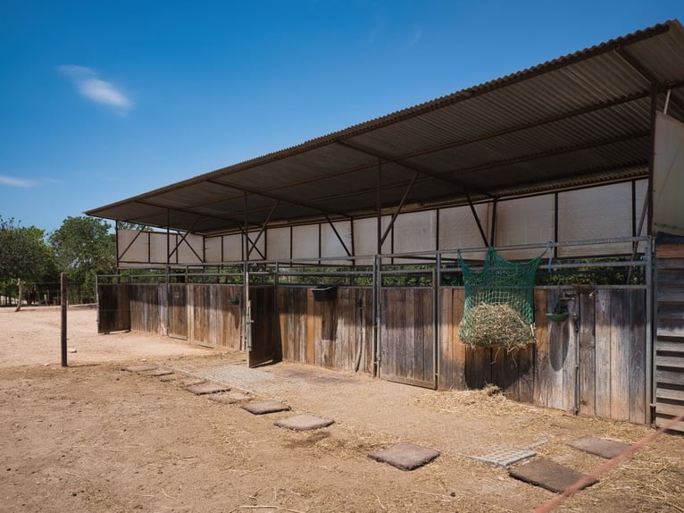 MALLORCA: Anwesen mit privater Reitanlage, 2 Häusern, 2 Pools nahe Palma!