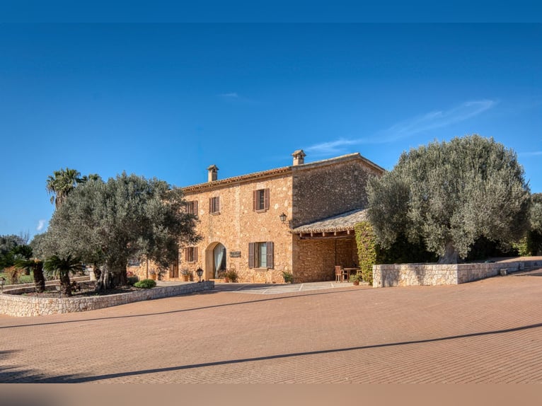 Mallorca: Finca mit Stallungen auf 15 Hektar Land und Ferienvermietlizenz