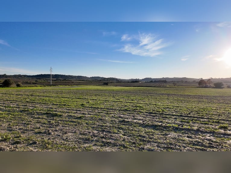 Mallorca: Neubaufinca mit Möglichkeit zur Pferdehaltung