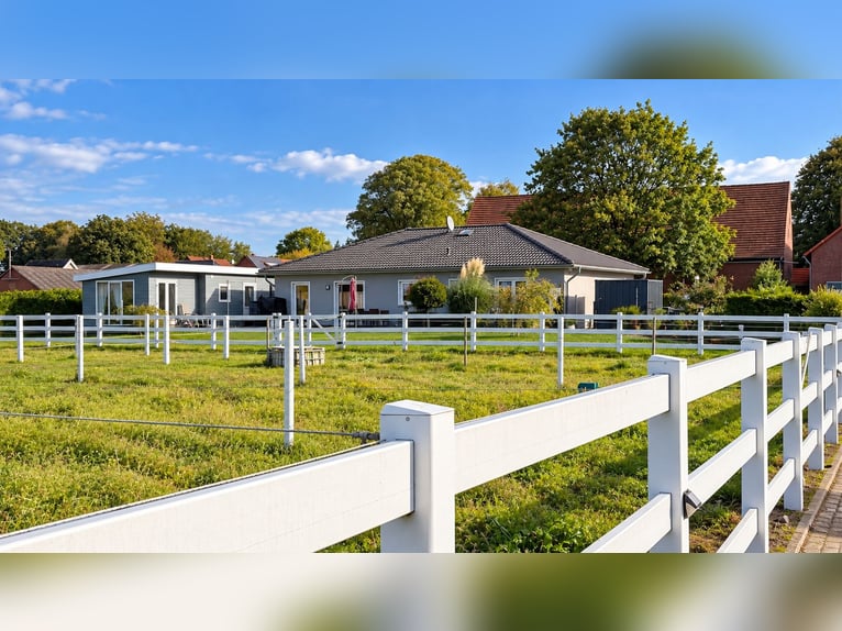 Modern paardenbedrijf op 3,4 ha – rijhal, 13 boxen, zoutkamer & 2 rijbanen