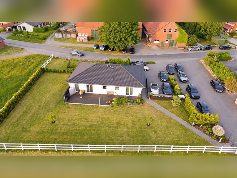 Modern paardenbedrijf op 3,4 ha – rijhal, 13 boxen, zoutkamer & 2 rijbanen