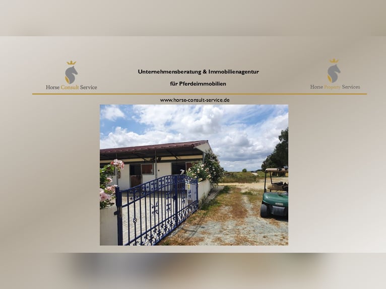 Moderne paardenaccommodatie op ongeveer 10 hectare tussen Sevilla, Huelva en de Atlantische kust