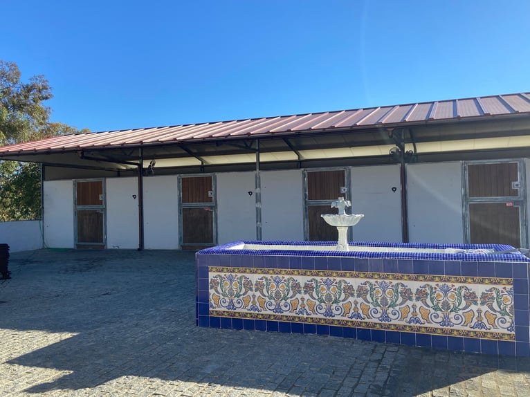 Moderne paardenaccommodatie op ongeveer 10 hectare tussen Sevilla, Huelva en de Atlantische kust