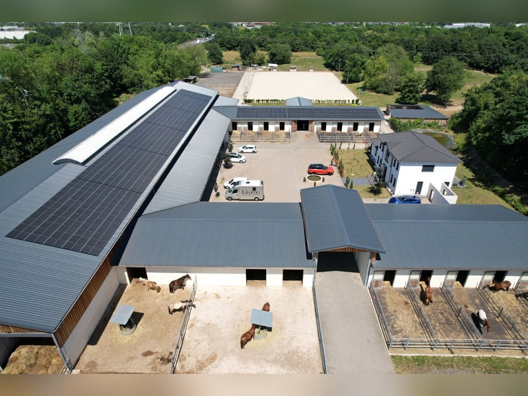 Moderne und rentable Reitanlage im Einzugsgebiet Bonn/Köln mit hochwertigem Wohnhaus