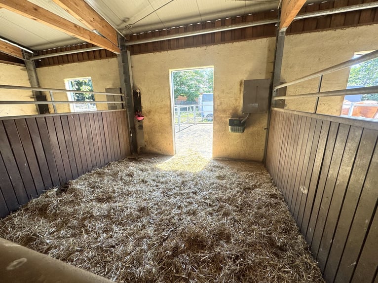 Moderne und rentable Reitanlage im Einzugsgebiet Bonn/Köln mit hochwertigem Wohnhaus