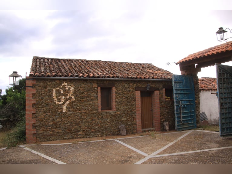 Mooi landgoed met cortijo in Salamanca – 200 hectare